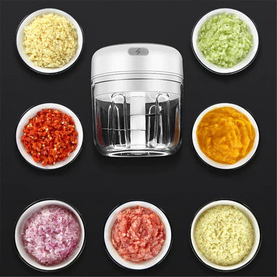 Mini Electric Food Processor