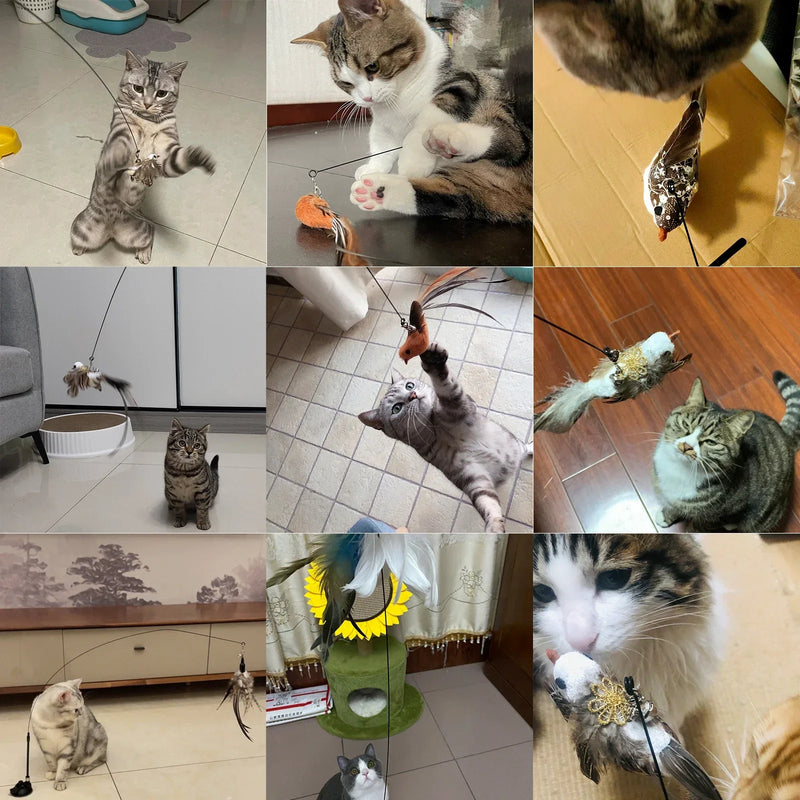Interactive Cat Wand